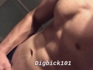 Digbick101