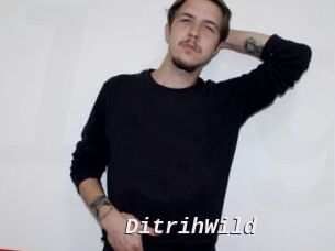 DitrihWild