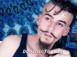 DominicTerrier Live Camgirls Sex
