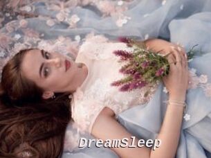DreamSleep