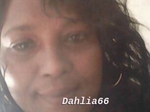 Dahlia66