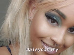 Daisycanary