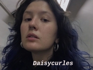 Daisycurles