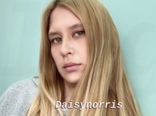 Daisynorris