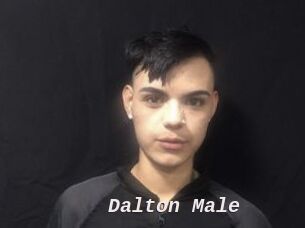 Dalton_Male