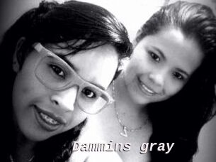 Dammins_gray