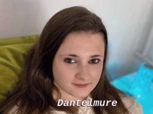 Dantelmure