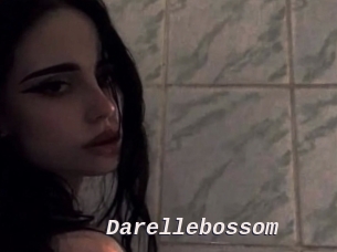 Darellebossom