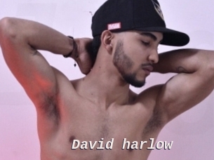 David_harlow