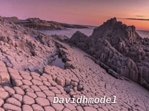 Davidhmodel