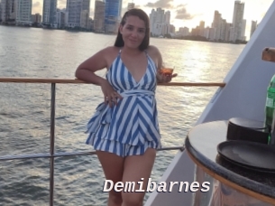Demibarnes