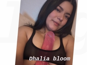 Dhalia_bloom
