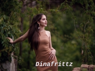 Dinafrittz
