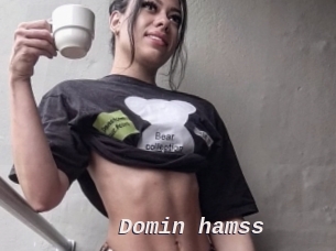 Domin_hamss