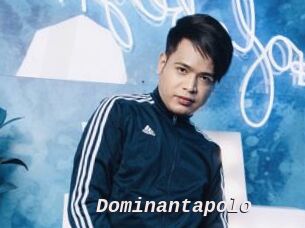 Dominantapolo