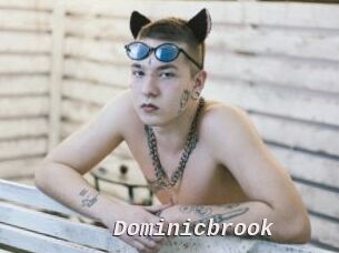 Dominicbrook