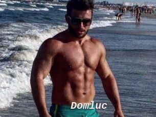 Domluc