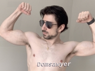 Domsawyer