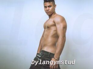 Dylangymstud