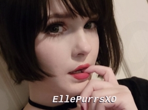 EllePurrsXO