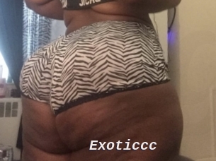 Exoticcc Live Camgirls Sex