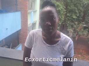 Ecxorticmelanin