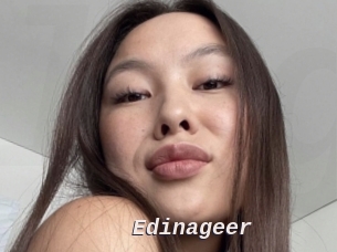 Edinageer