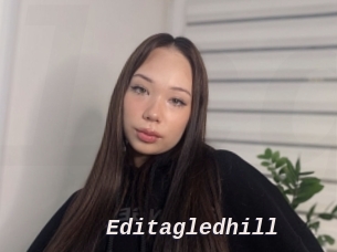 Editagledhill
