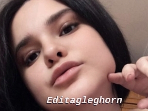 Editagleghorn