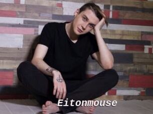 Eitonmouse