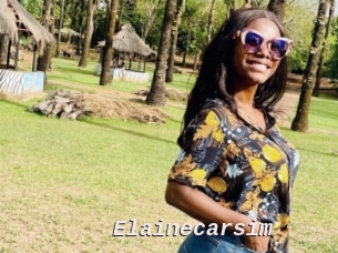Elainecarsim
