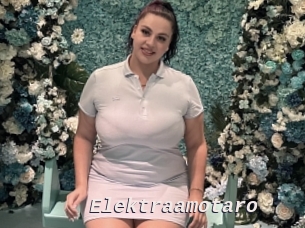 Elektraamotaro