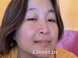 Elenatin