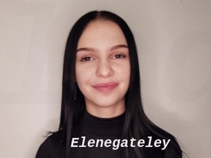 Elenegateley