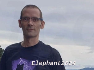 Elephant2024