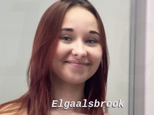 Elgaalsbrook