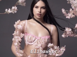 Elihawker