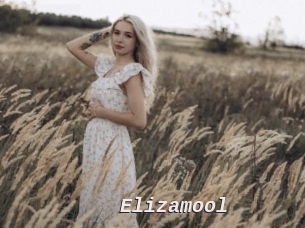 Elizamool