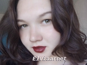 Elviaarnet