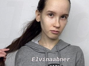 Elvinaabner
