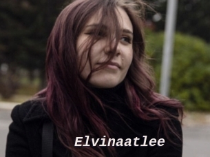 Elvinaatlee