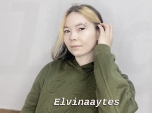 Elvinaaytes