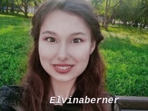 Elvinaberner