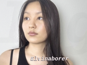 Elvinaborer