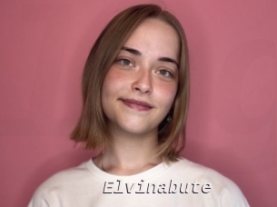 Elvinabute