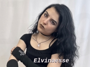Elvinaesse