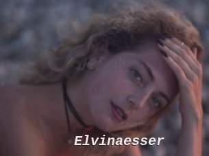 Elvinaesser