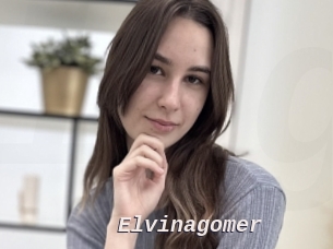 Elvinagomer