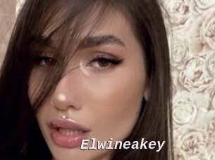 Elwineakey