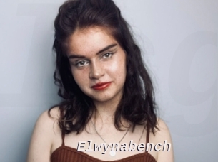 Elwynabench